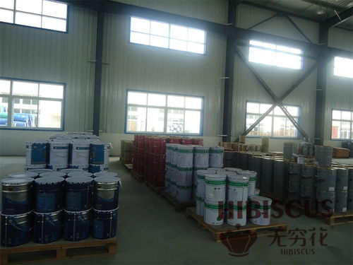 看準(zhǔn)網(wǎng)