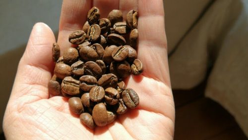 牙買加藍(lán)山咖啡(焙炒咖啡豆),進(jìn)口牙買加咖啡局(cib)認(rèn)可藍(lán)山生豆北京
