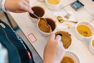 2019三豆客杯咖啡烘焙大師賽 昆明賽區(qū)圓滿完賽