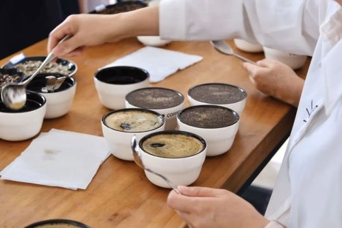 送票 深圳發布請你逛咖啡展啦