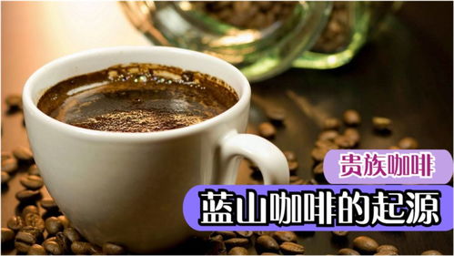 世界上最貴的咖啡 ,你需要了解的它的歷史起源