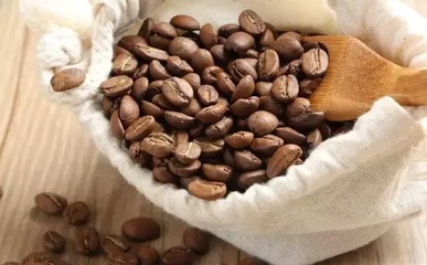 咖啡生豆的儲存經驗分享