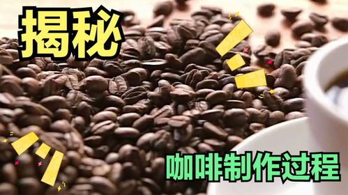 揭秘咖啡制作過程,看完你都不相信這么簡單 食品工廠紀錄片