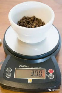 如何用chemex咖啡壺制作咖啡 chemex滴濾壺使用教程